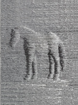 cover image of Boaz Vaadia